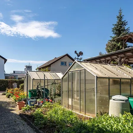 아파트 Trixi Sexau